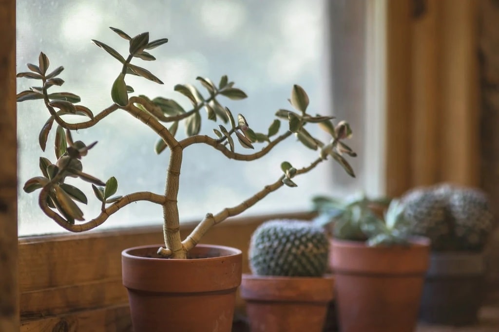 Faire de son intérieur un espace apaisant et durable
